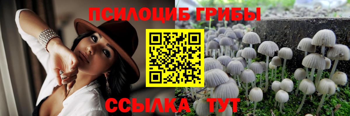Псков  Галлюциногенные грибы GOLDEN TEACHER  Псилоцибиновые грибы Psilocybine cubensis  как найти закладки  Вход с VPN 