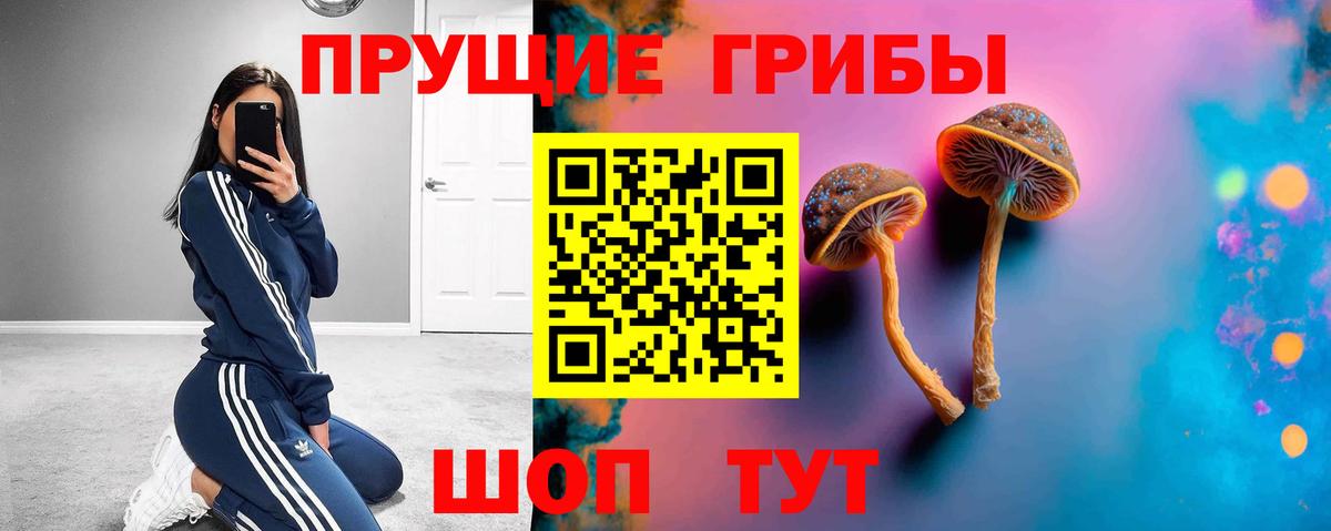 Галлюциногенные грибы ЛСД Псков